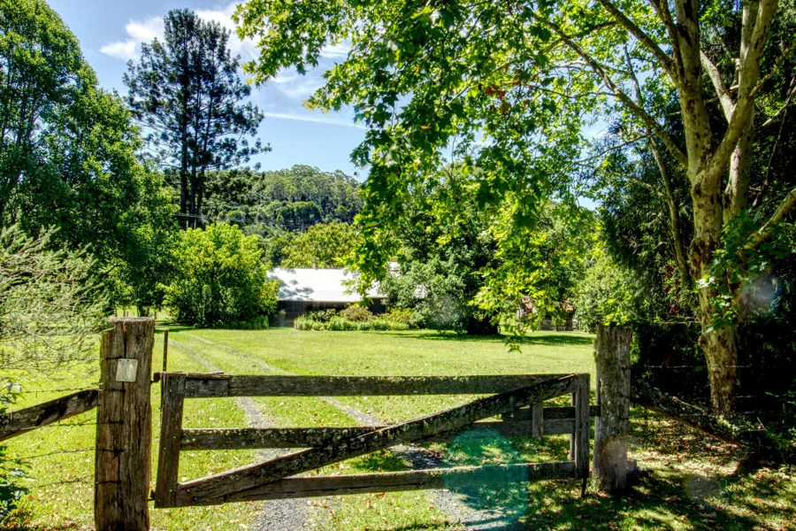 Billys Creek NSW 2453