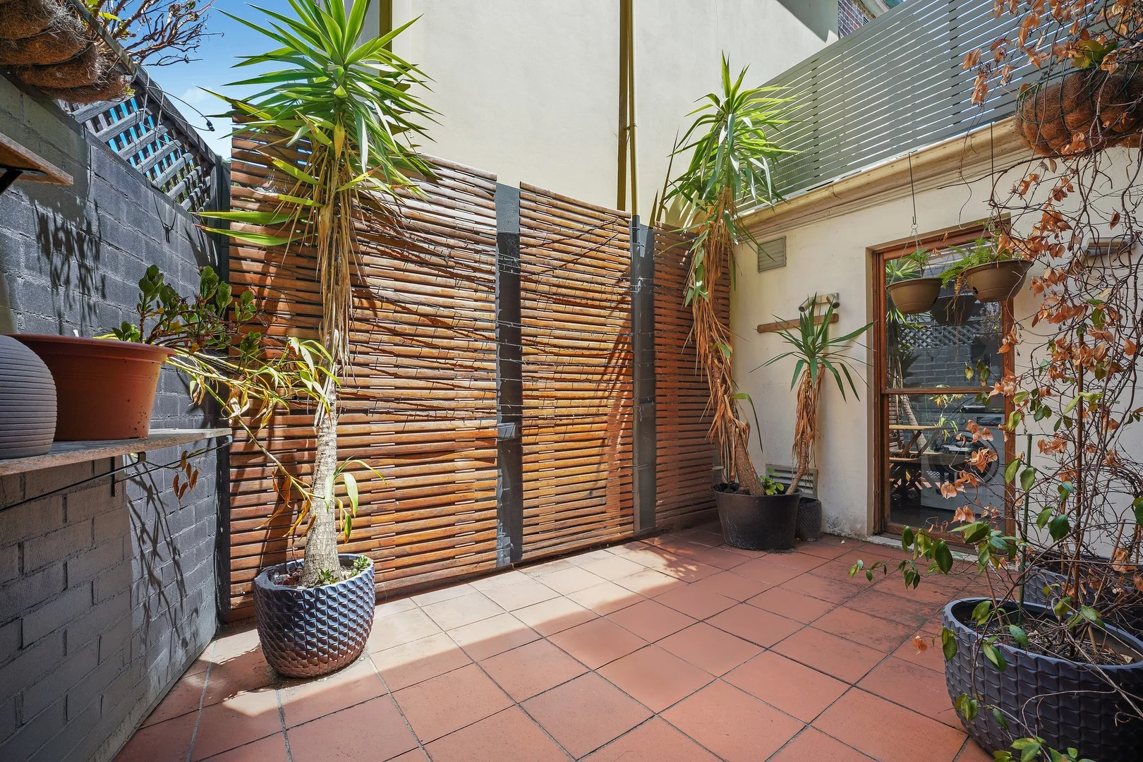 3/232 Moore Park Road, Paddington NSW 2021