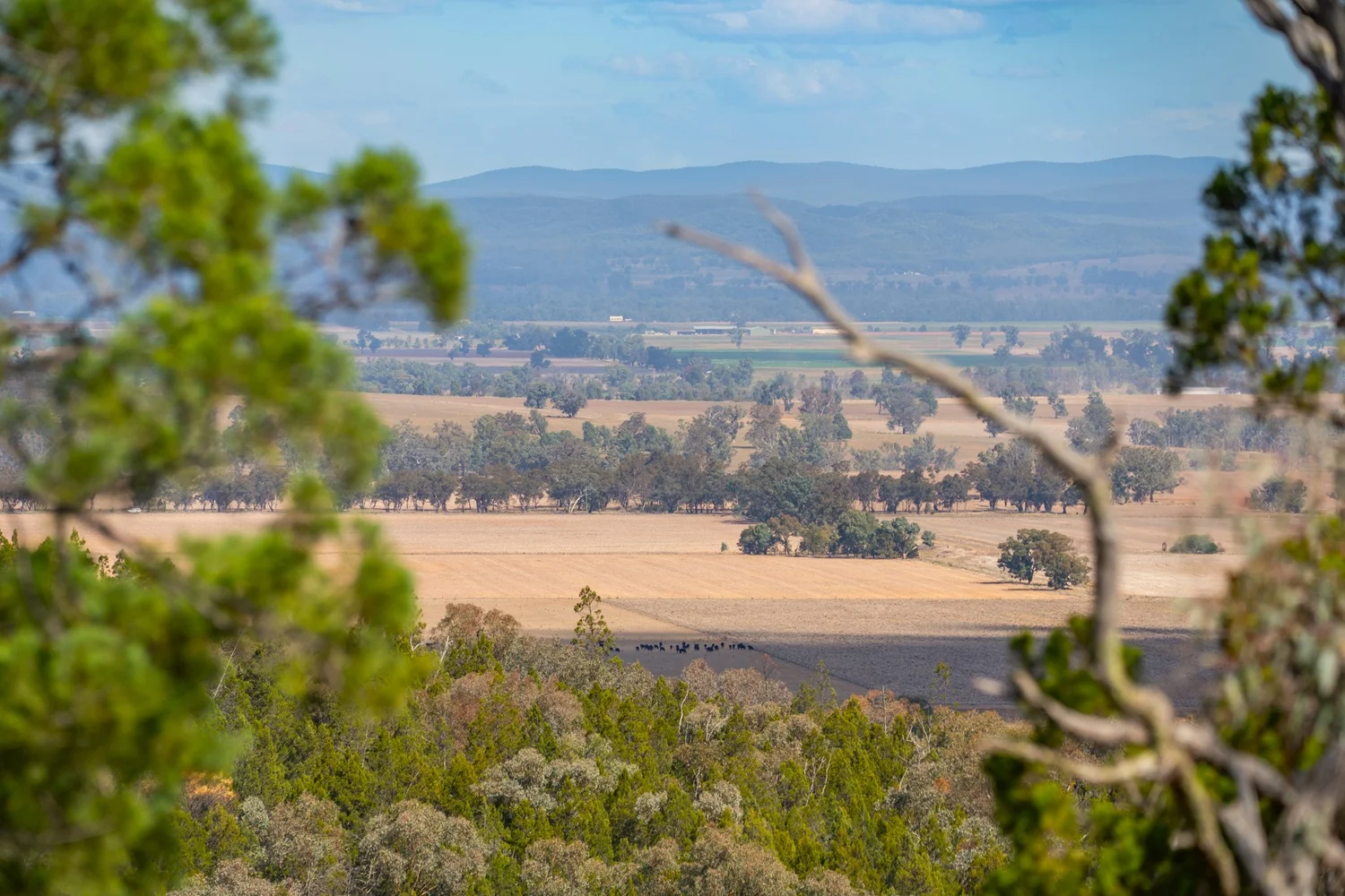 Additional image 29 of 3705 Nanami Lane, Canowindra NSW 2804