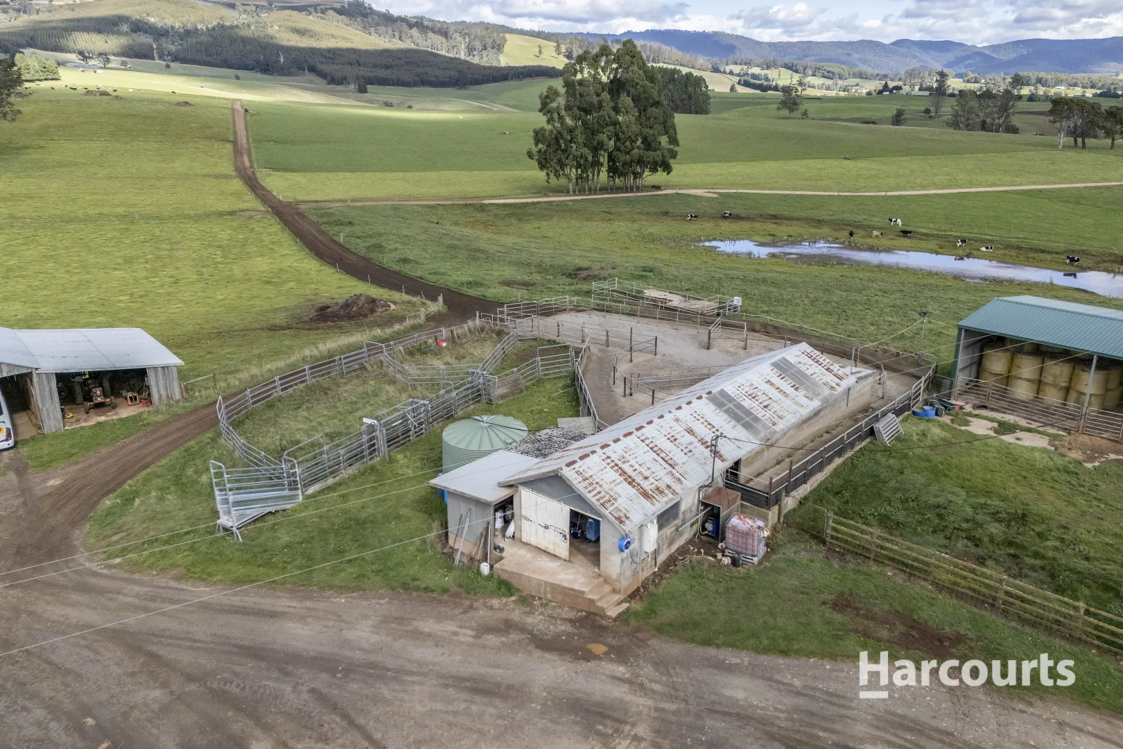 Additional image 4 of 214 Mathinna Plains Road, Ringarooma TAS 7263