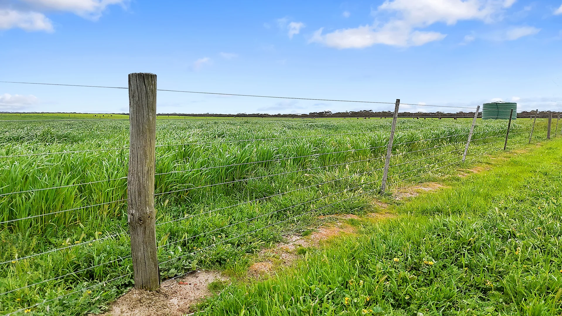 Additional image 4 of 1412 Red Bluff Road, Bordertown SA 5268