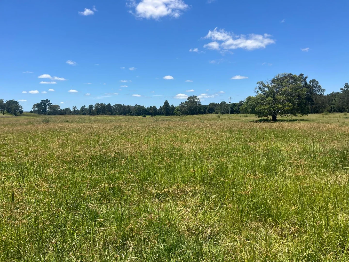 Additional image 13 of Lot 7/1197 Kenilworth - Skyring Creek Road, Tuchekoi QLD 4570