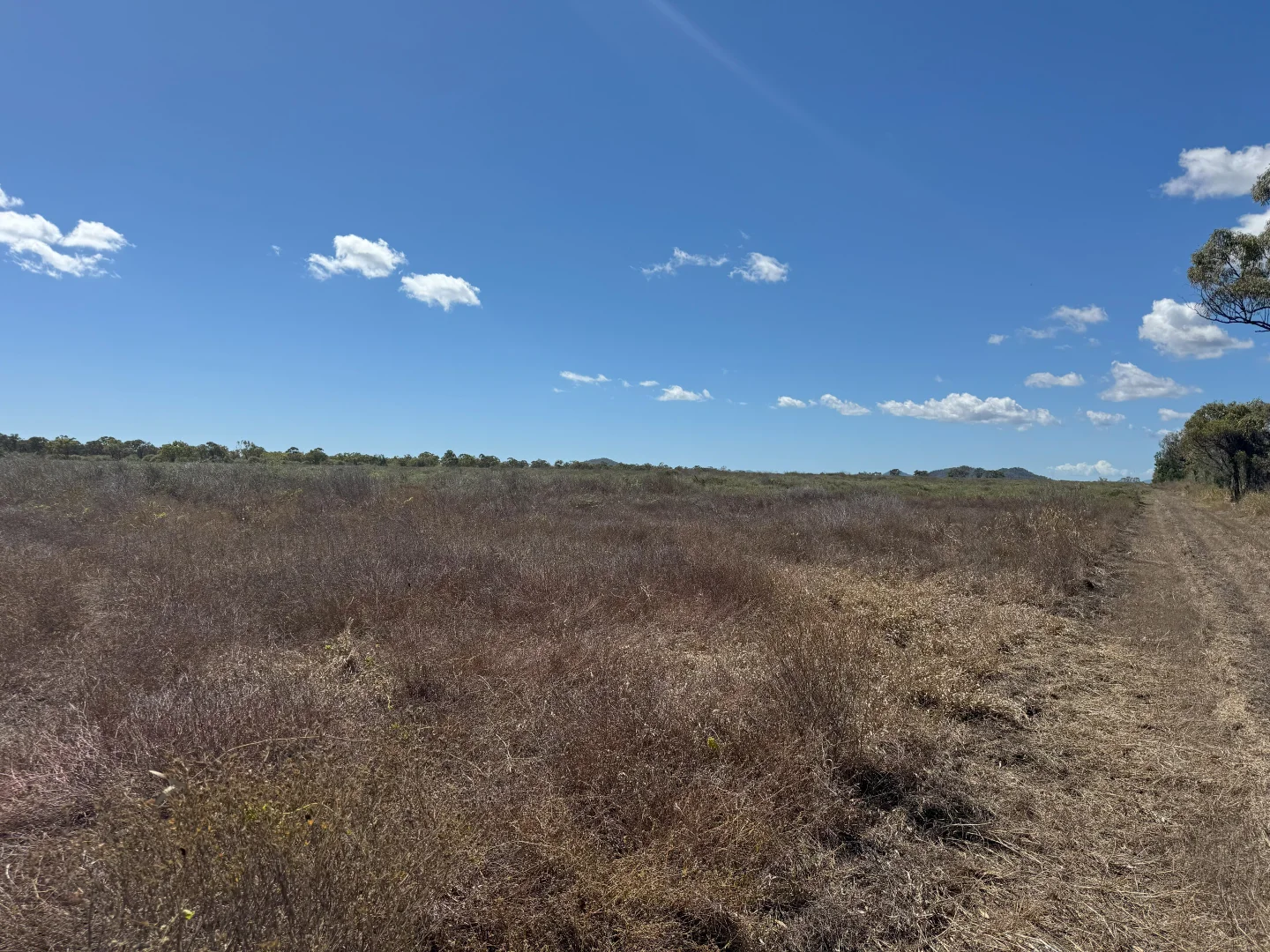 Additional image 9 of MULTIPLE LOTS Nevada Road, Guthalungra QLD 4805