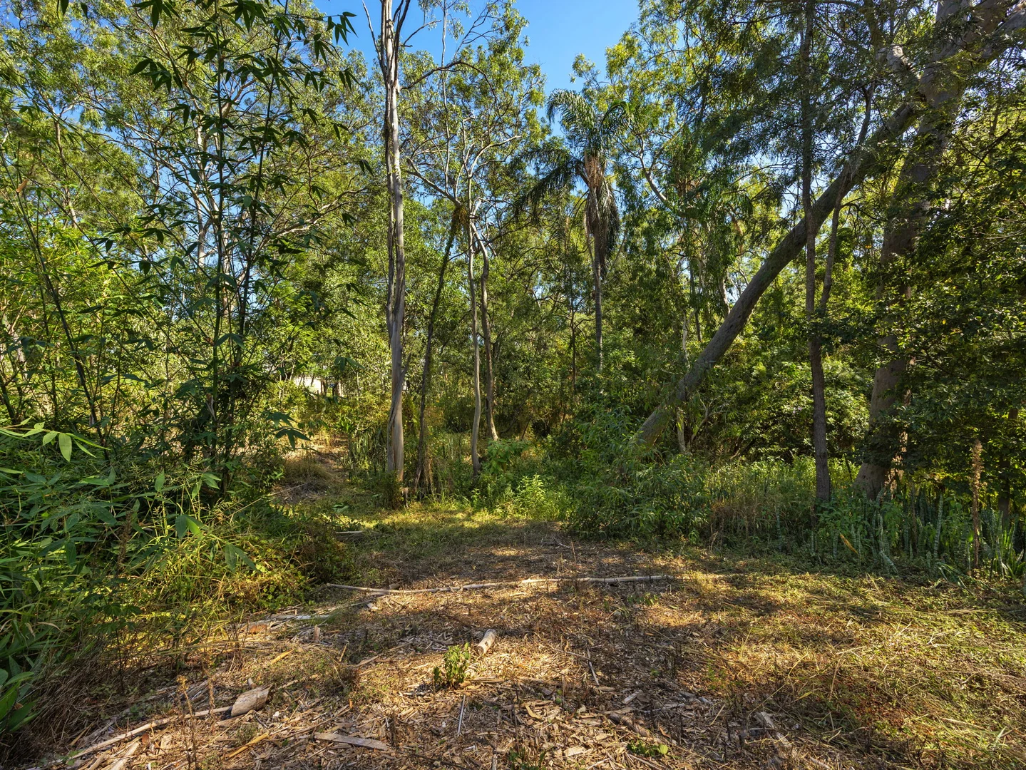 Additional image 22 of 9 Woodend Road, Sadliers Crossing QLD 4305