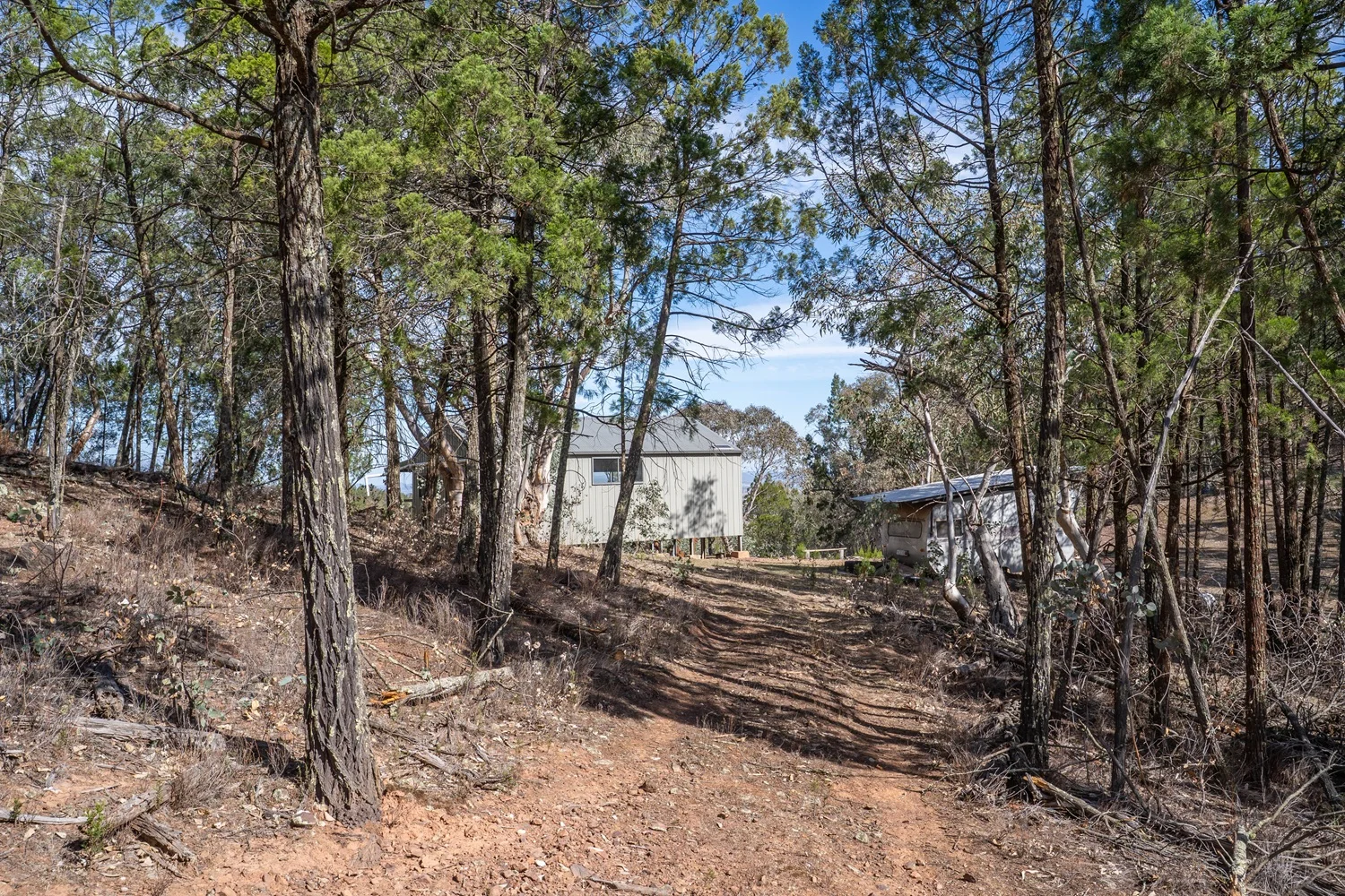 Additional image 31 of 3705 Nanami Lane, Canowindra NSW 2804