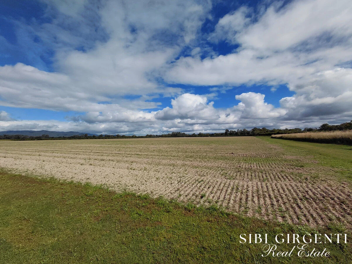 Additional image 10 of 262 Gilmore Road, Mareeba QLD 4880
