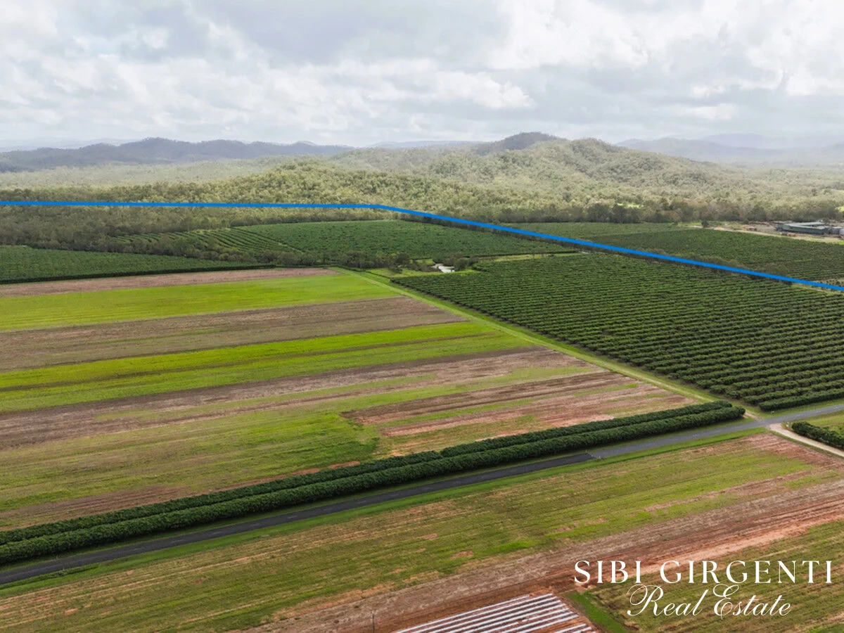 Additional image 6 of 262 Gilmore Road, Mareeba QLD 4880