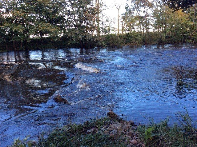 Additional image 3 of Land for saleRiver South Esk, Finavon, Angus DD8