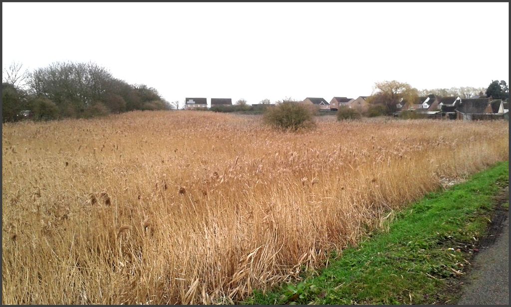 Land for salePondersbridge, Whittlesey, Peterborough PE26