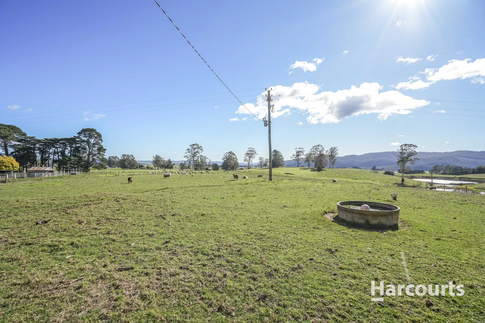 Additional image 45 of 214 Mathinna Plains Road, Ringarooma TAS 7263