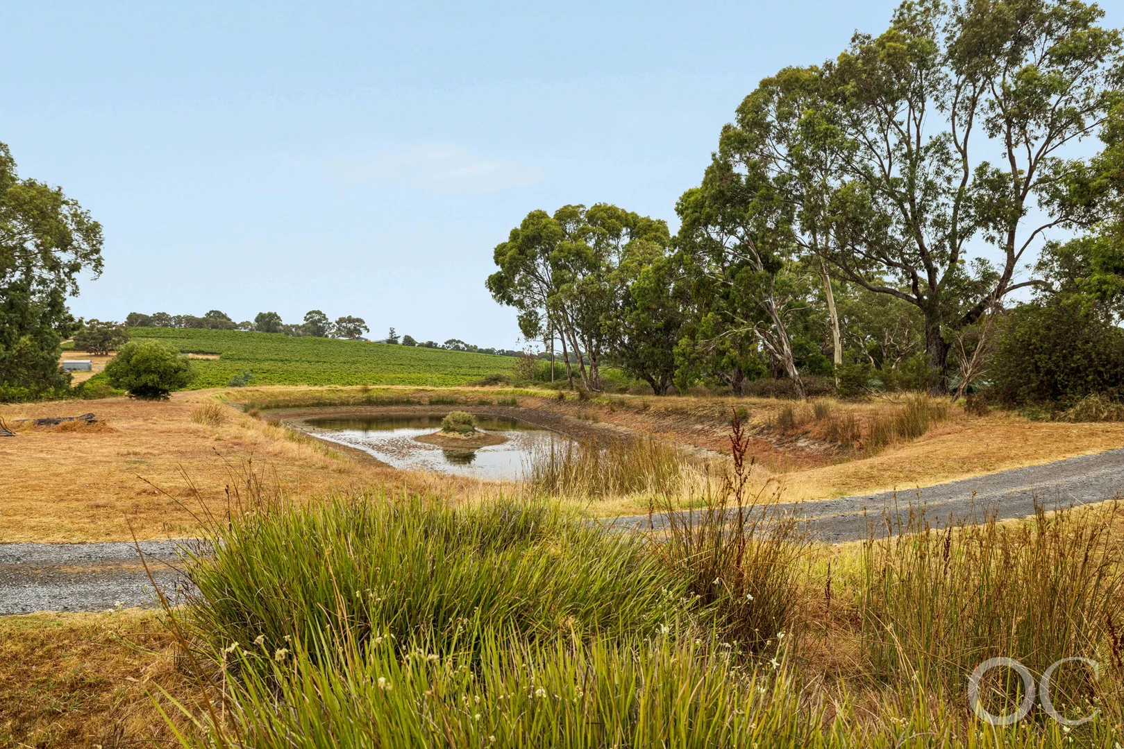 Additional image 7 of 113A Adams Road, Blewitt Springs SA 5171