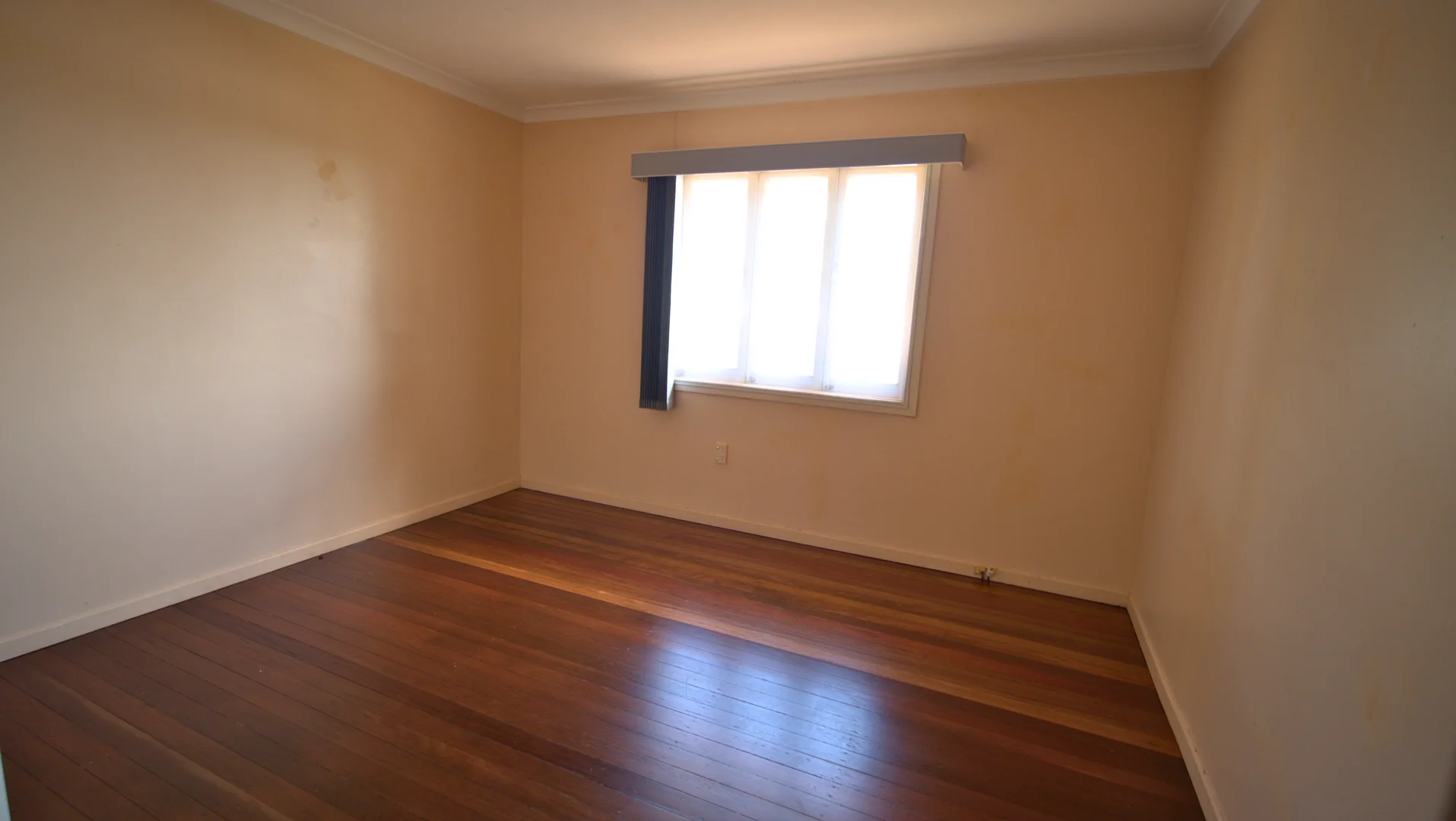Additional image 10 of 24 Mayflower Street, Geebung QLD 4034