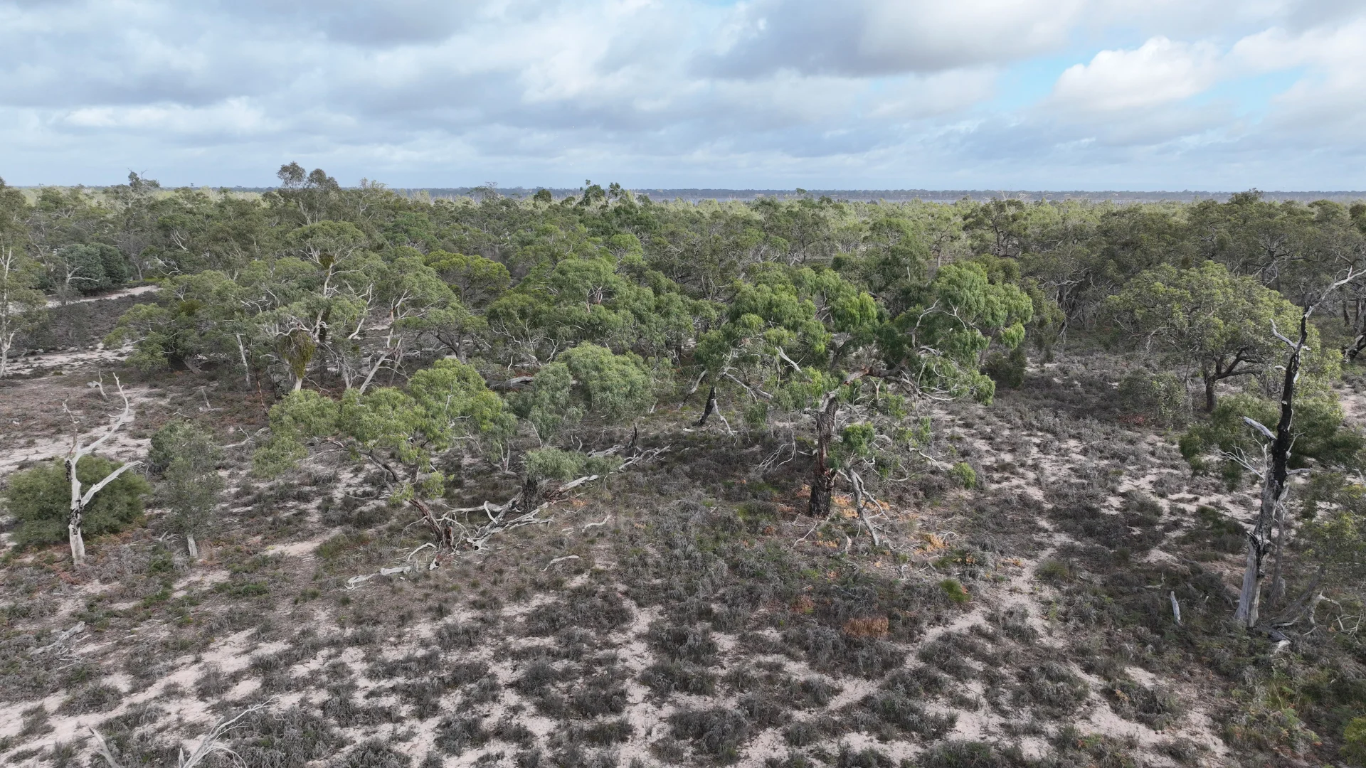 Additional image 6 of 2 Toolondo Drive, Toolondo VIC 3401