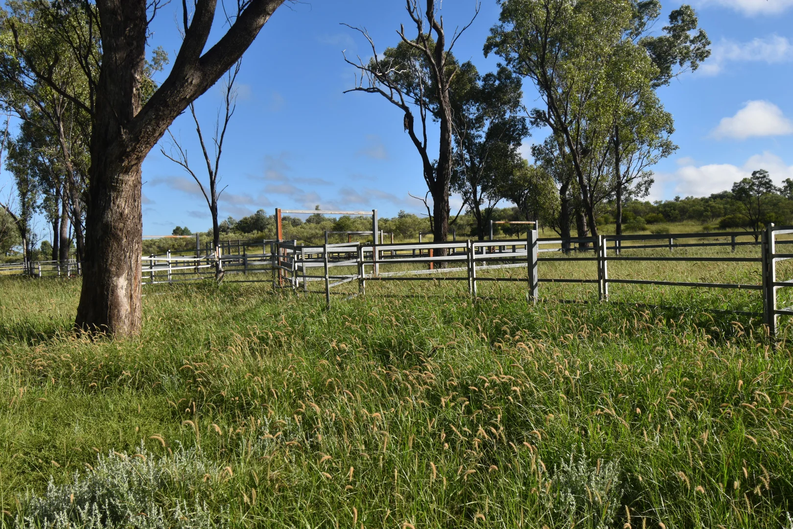 Additional image 9 of 5074 Alpha Tambo Road, Alpha QLD 4724