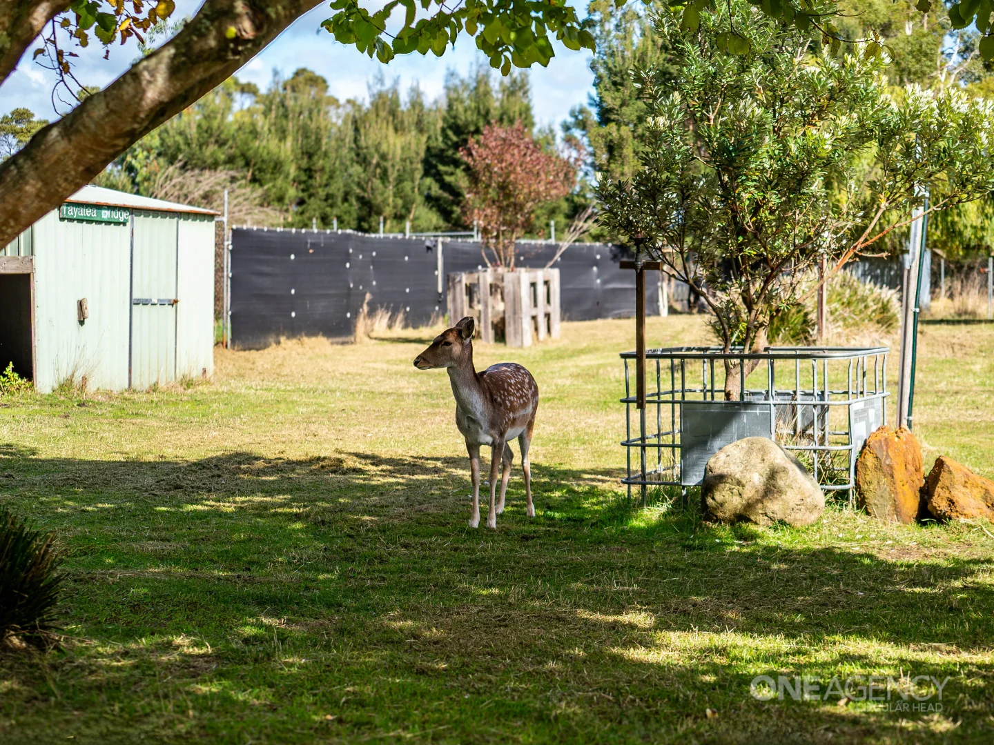 Additional image 20 of 48 Leesville Road, Smithton TAS 7330