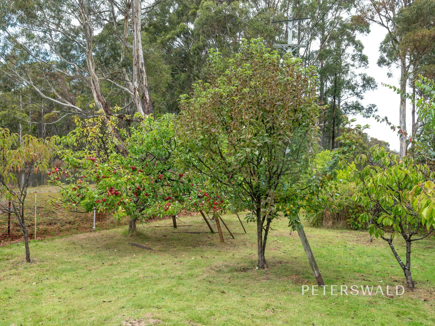 Additional image 30 of 1 Websters Road, Leslie Vale TAS 7054