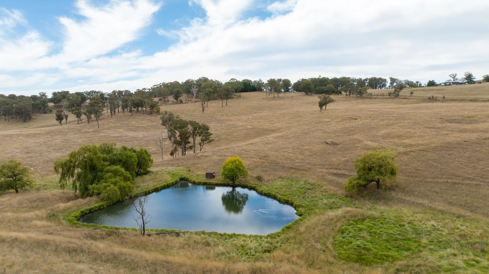 Additional image 2 of "Rose Valley" 379 Toms Gully Road, Black Mountain NSW 2365