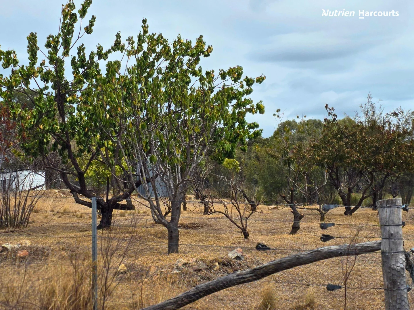 Additional image 28 of 296 Gulf Road, Emmaville NSW 2371