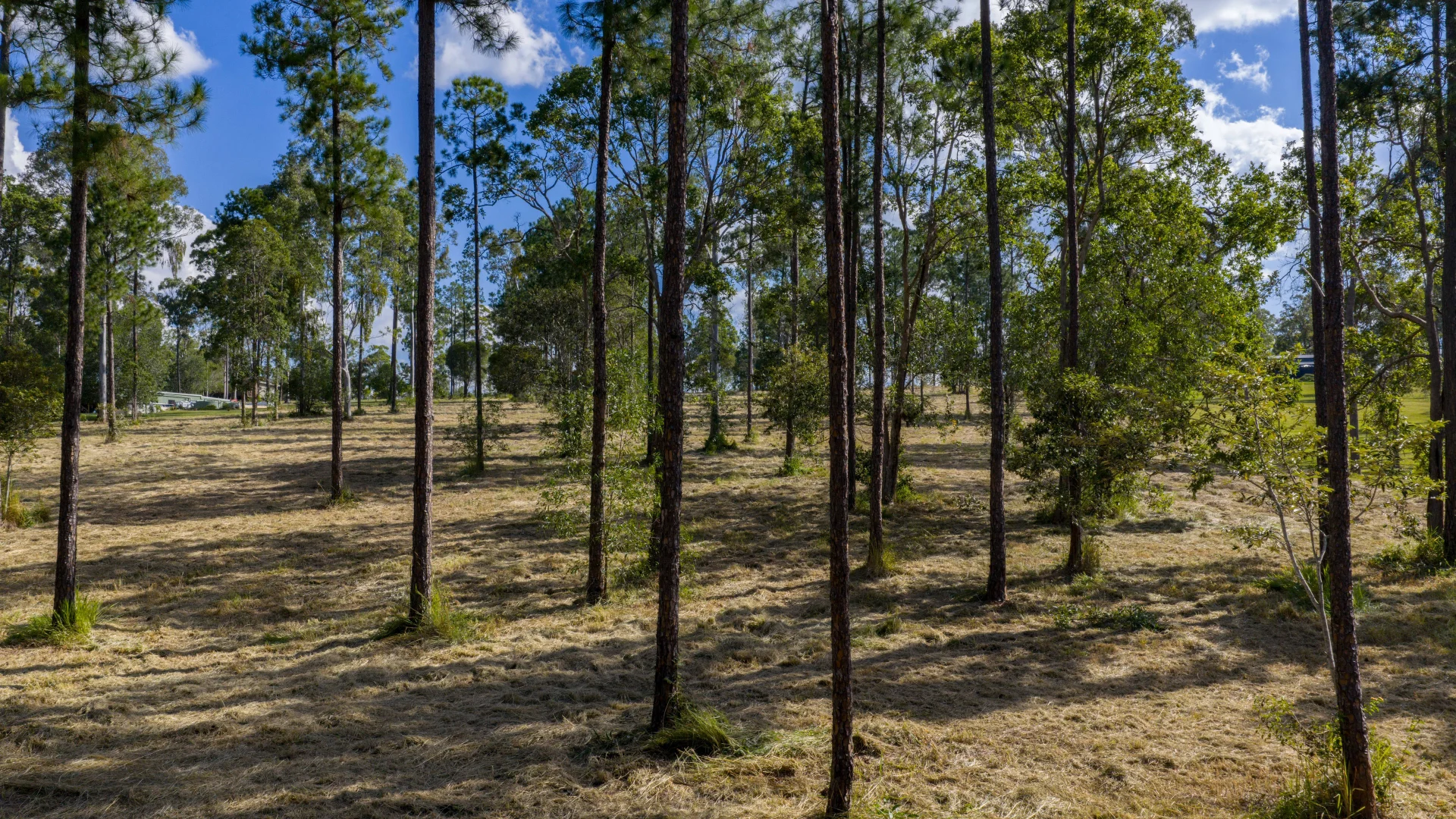 Additional image 11 of Lot 205 & 206 Arborfive Road, Glenwood QLD 4570