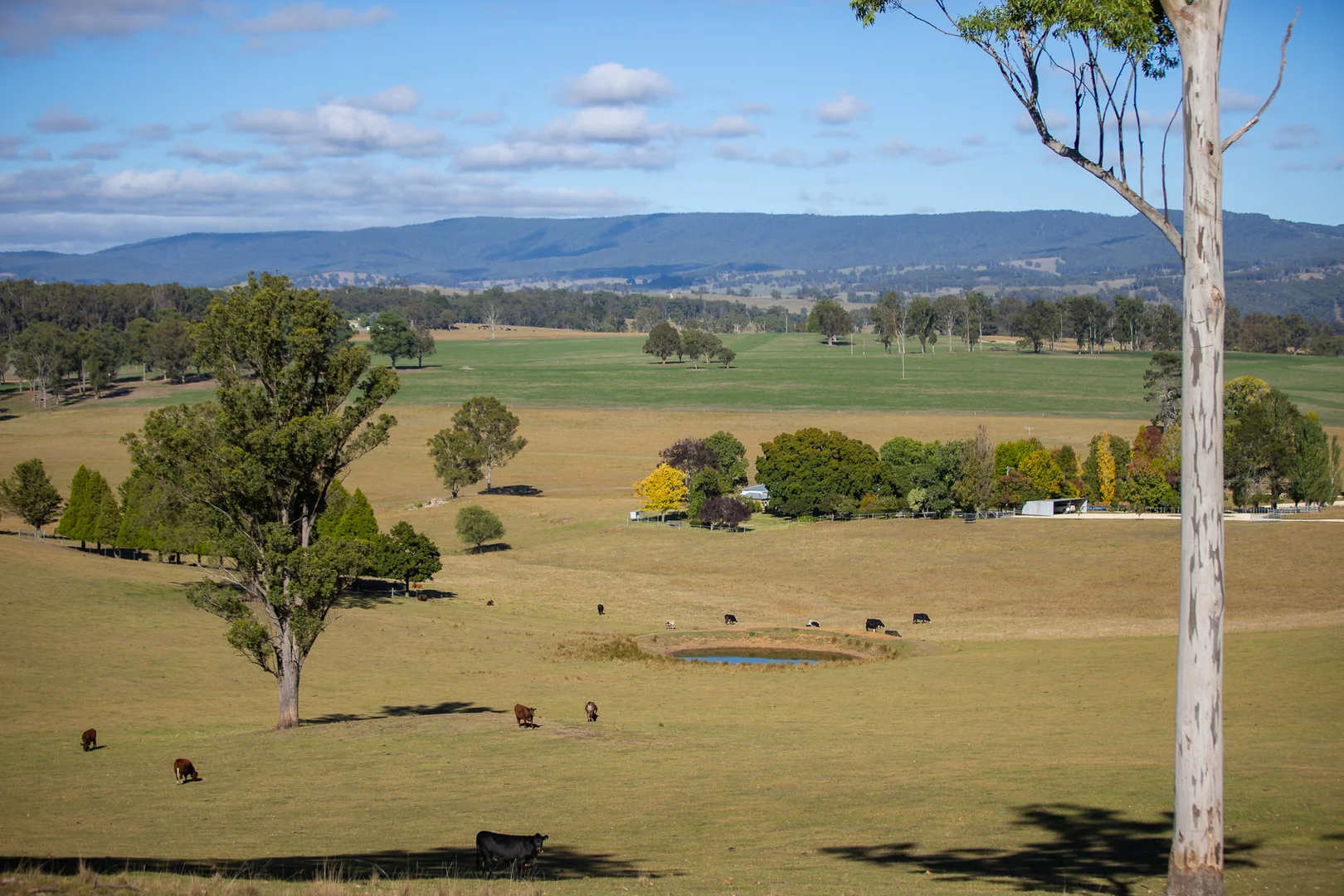 Additional image 24 of 700 Oaklands Road Yarrowitch Valley Via, Walcha NSW 2354