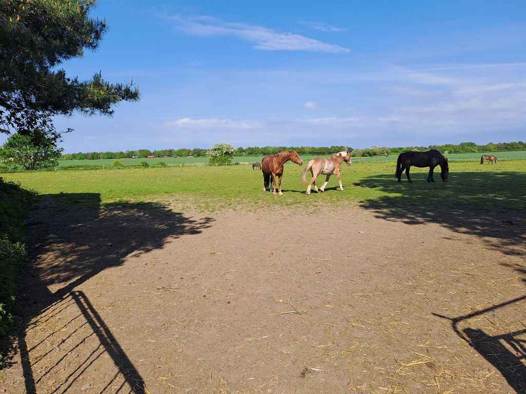Additional image 12 of Land for saleNew Farm Livery, Netherley Road, Tarbock Green L35