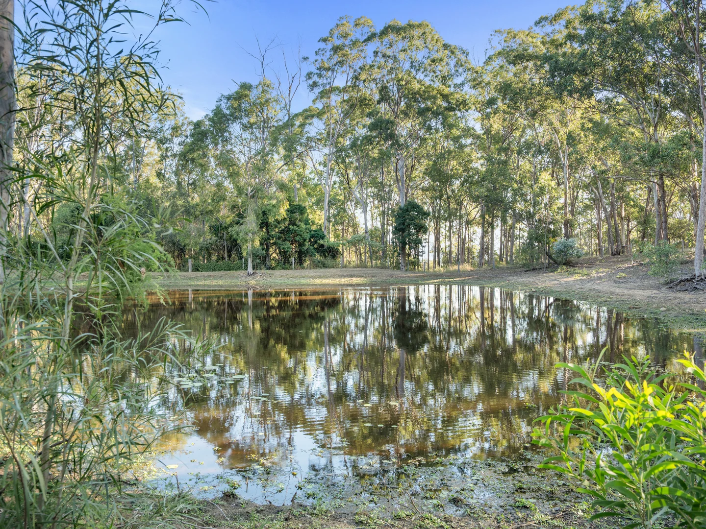 Additional image 37 of 55 Norfolk Road, Summerholm QLD 4341