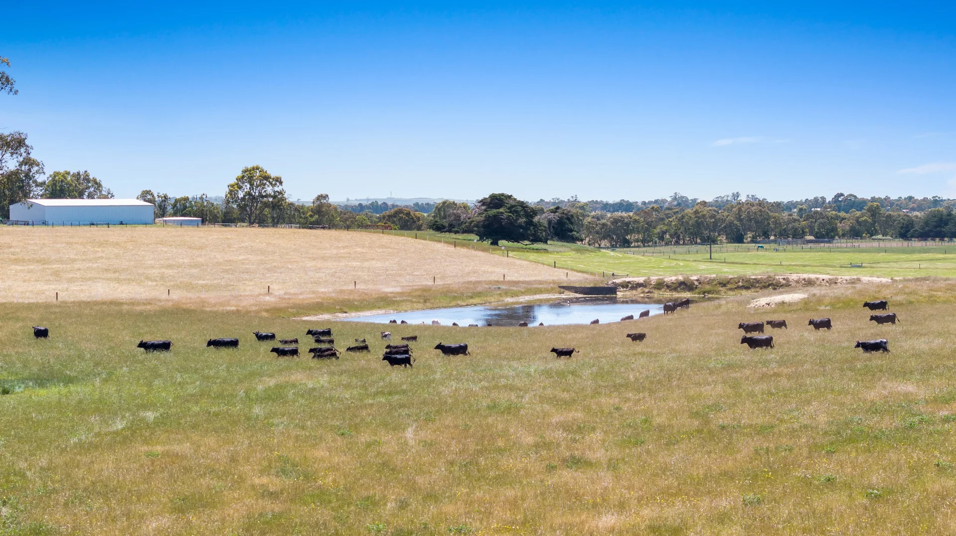 Additional image 37 of 101 Flynns Creek Road, Flynn VIC 3844