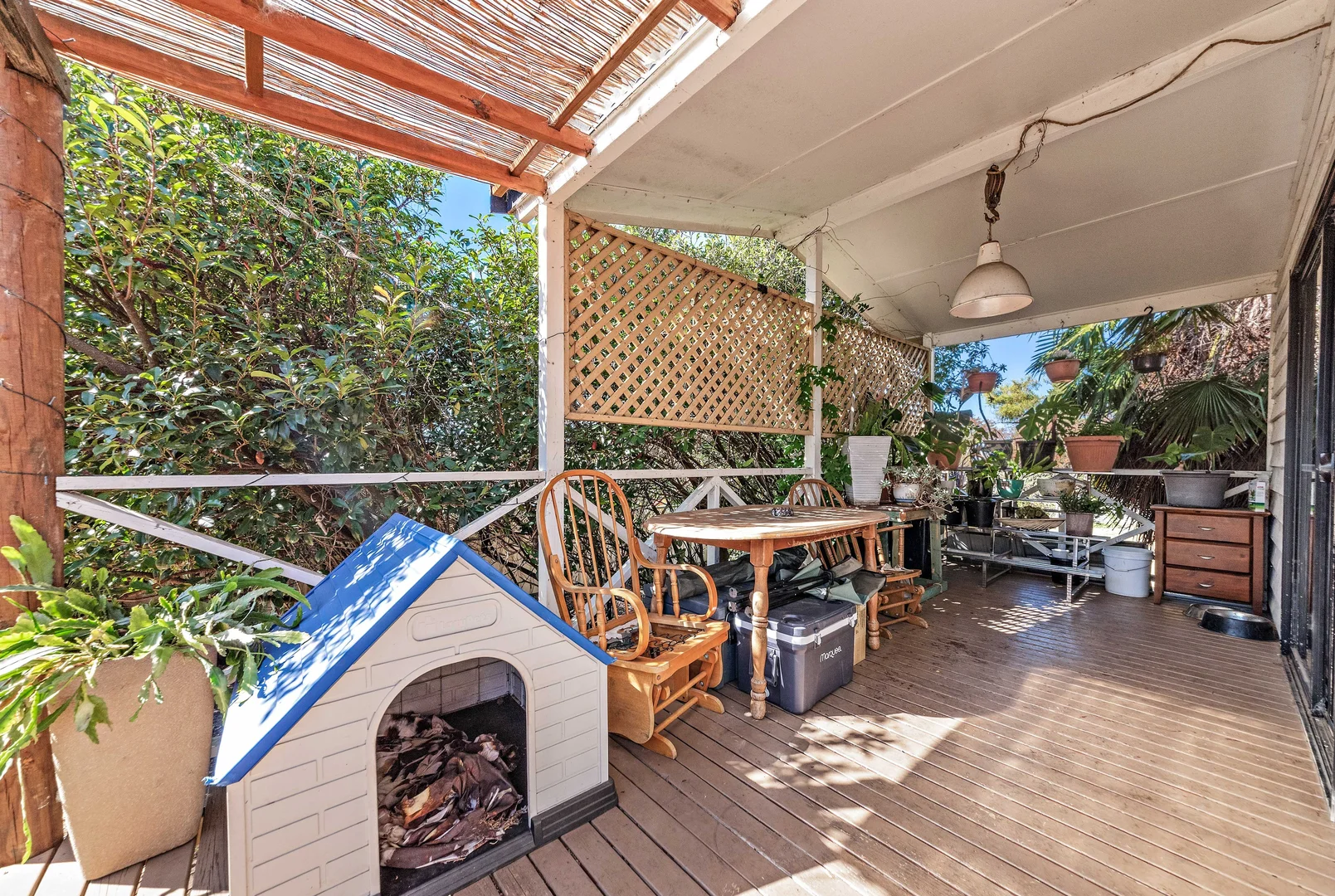 Additional image 12 of 105 Cowper Street, Tenterfield NSW 2372