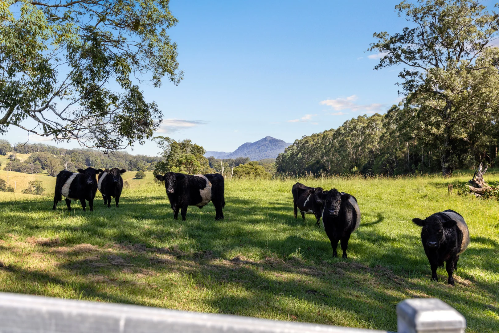 Additional image 28 of 423 Hydes Creek Road, Bellingen NSW 2454