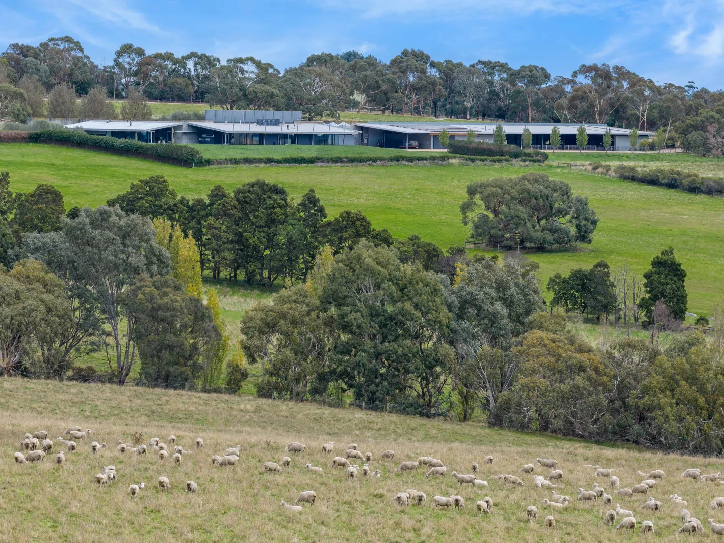 Additional image 2 of 504 Sidonia Road, Sidonia VIC 3444