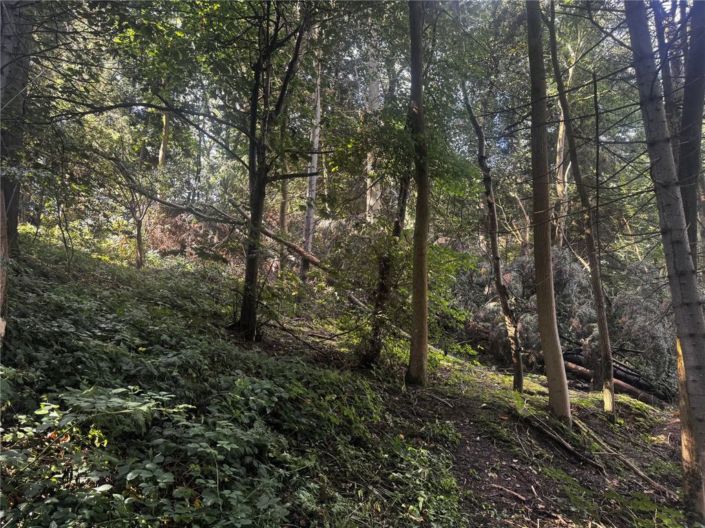 Additional image 6 of Land for saleBerriew, Welshpool, Powys SY21