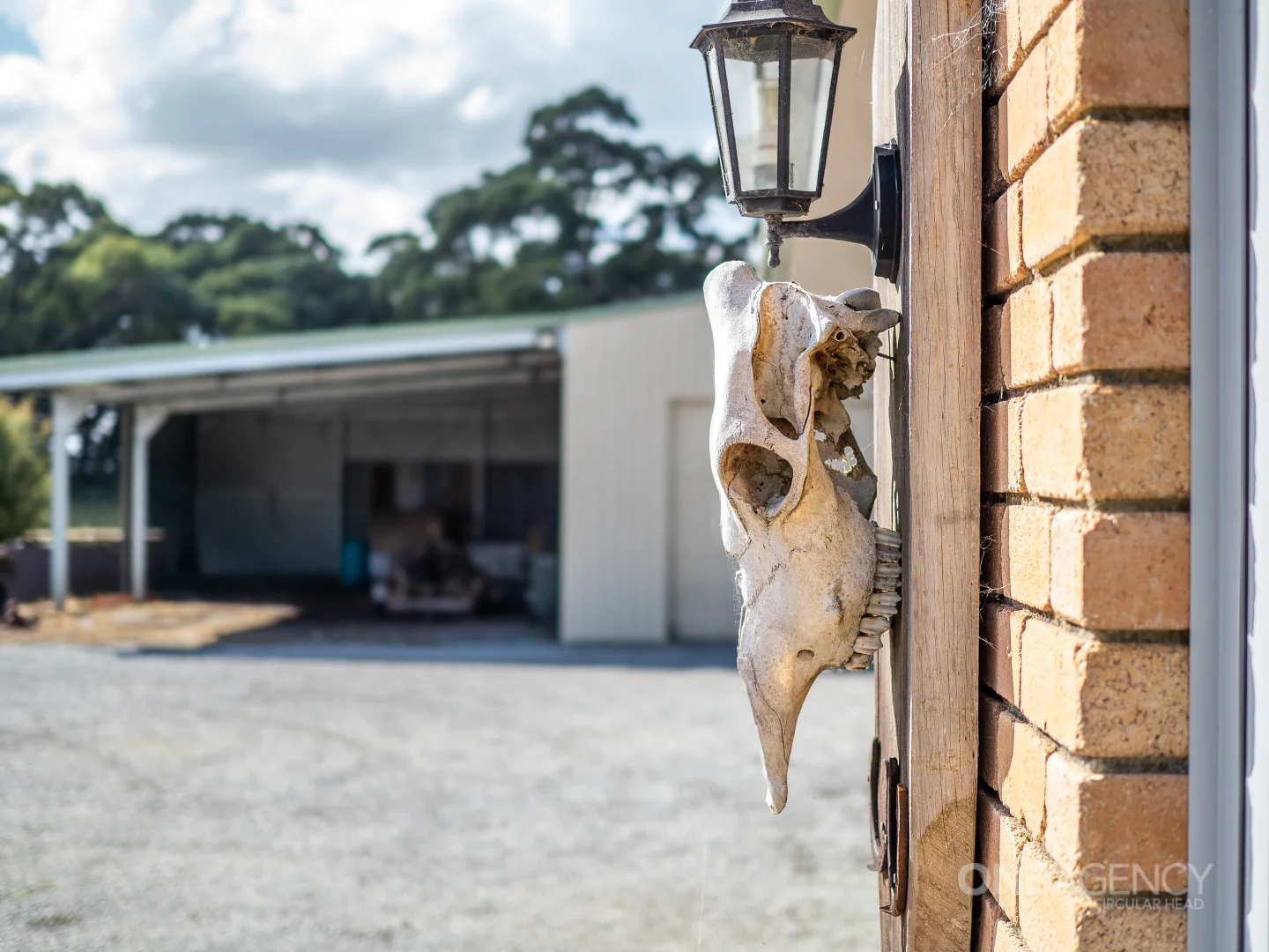 Additional image 8 of 48 Leesville Road, Smithton TAS 7330