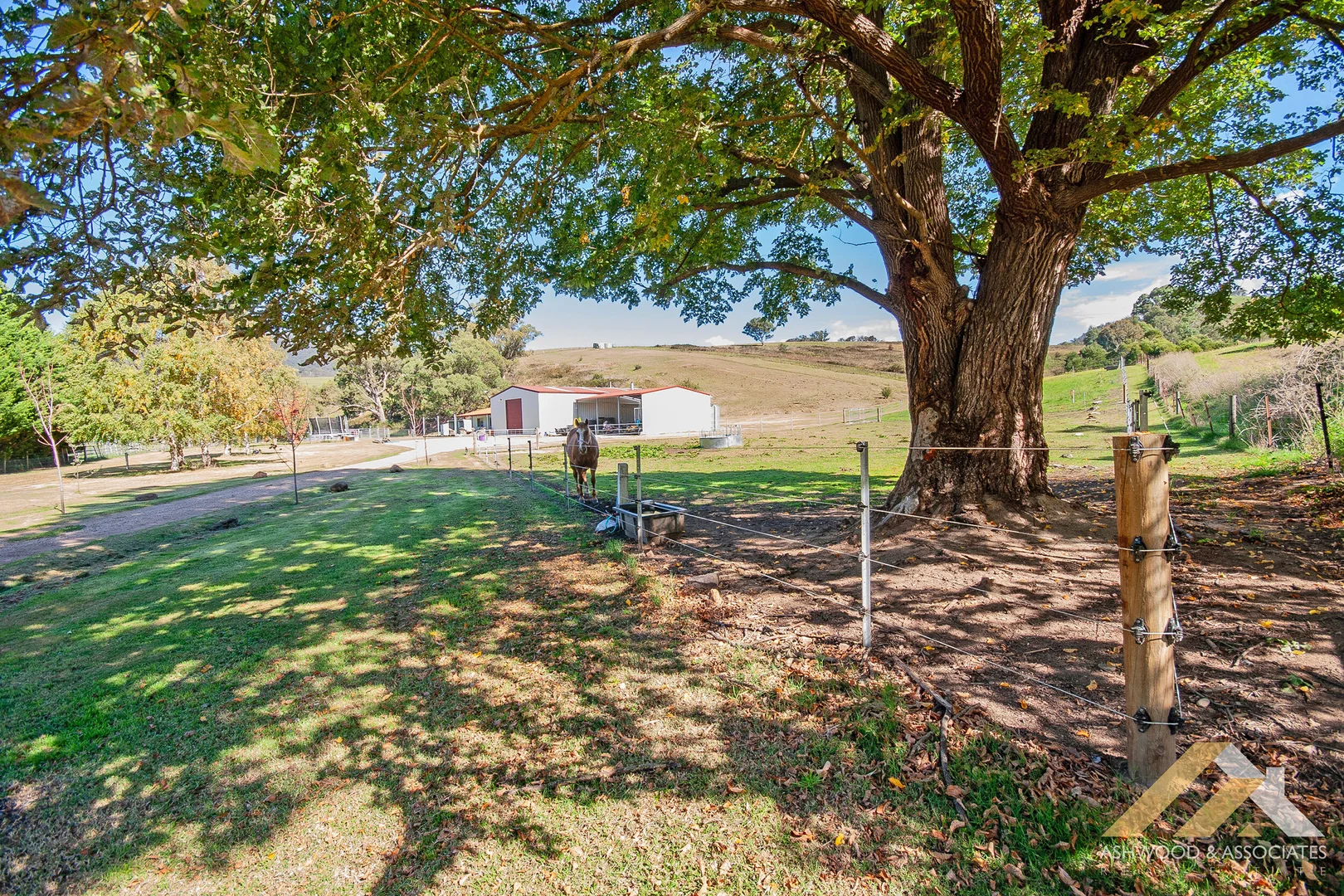 Additional image 22 of 93A Lind Avenue, Dargo VIC 3862