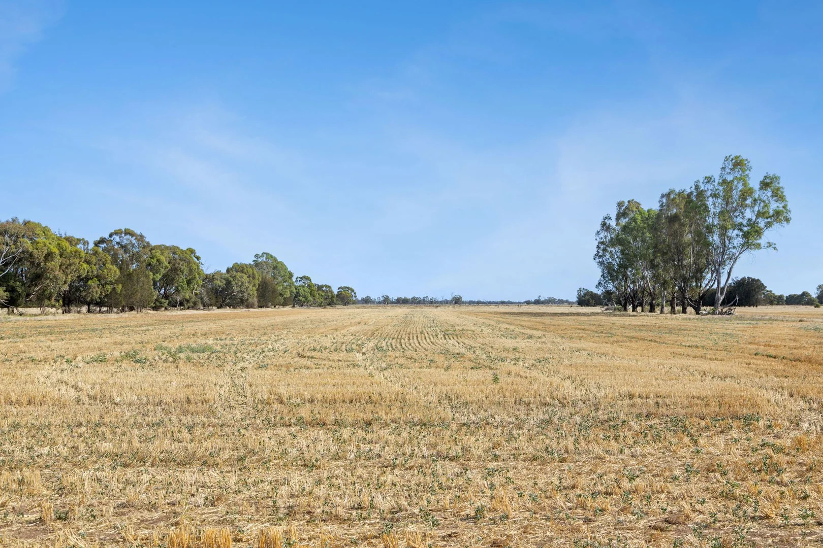 Additional image 4 of 361 Hercus Road, Calivil VIC 3573