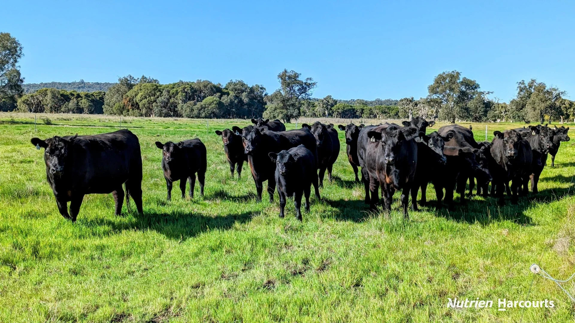 Additional image 2 of 1298 Brand Highway, Chittering WA 6084
