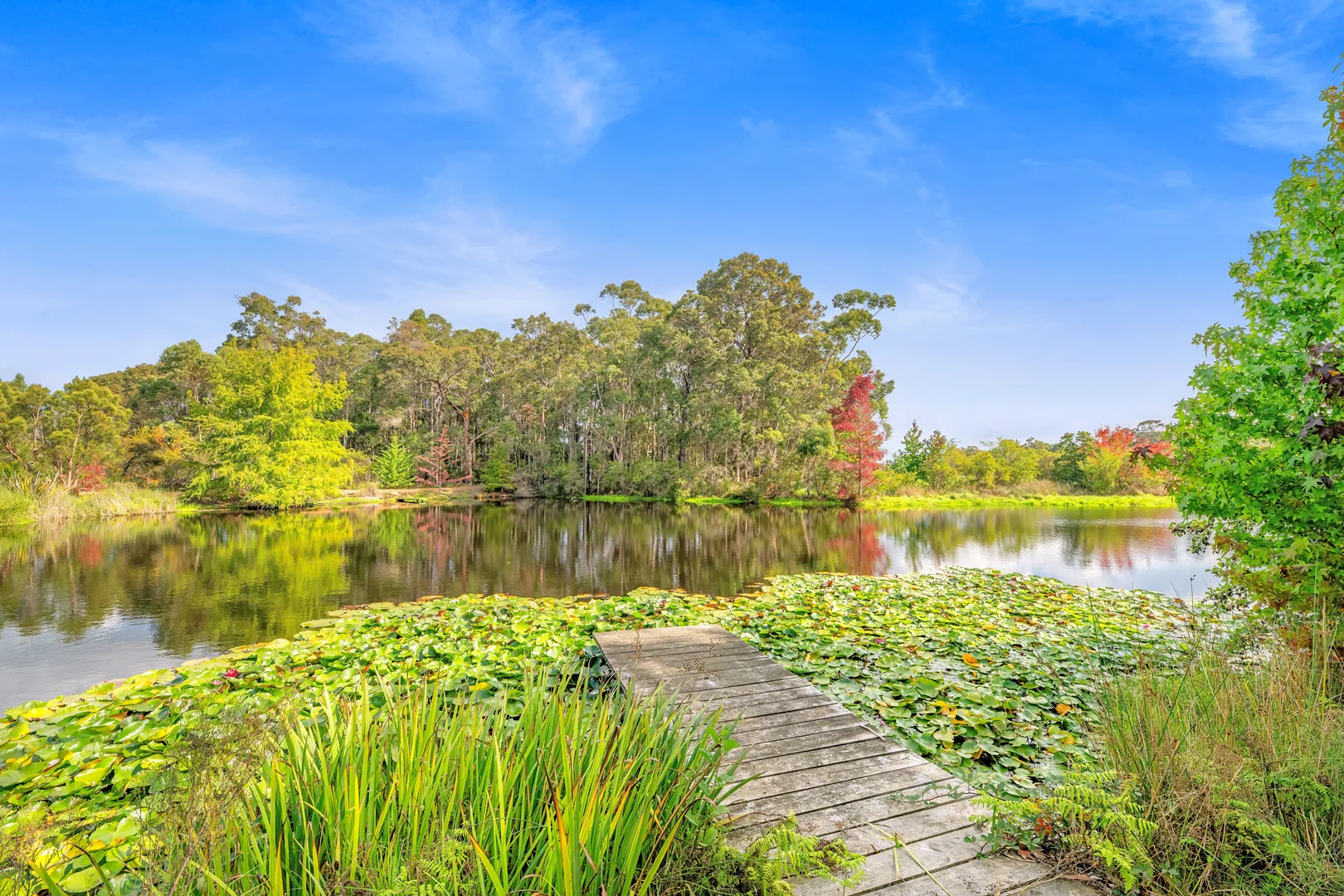 Additional image 19 of 704 Kordabup Road, Kordabup WA 6333