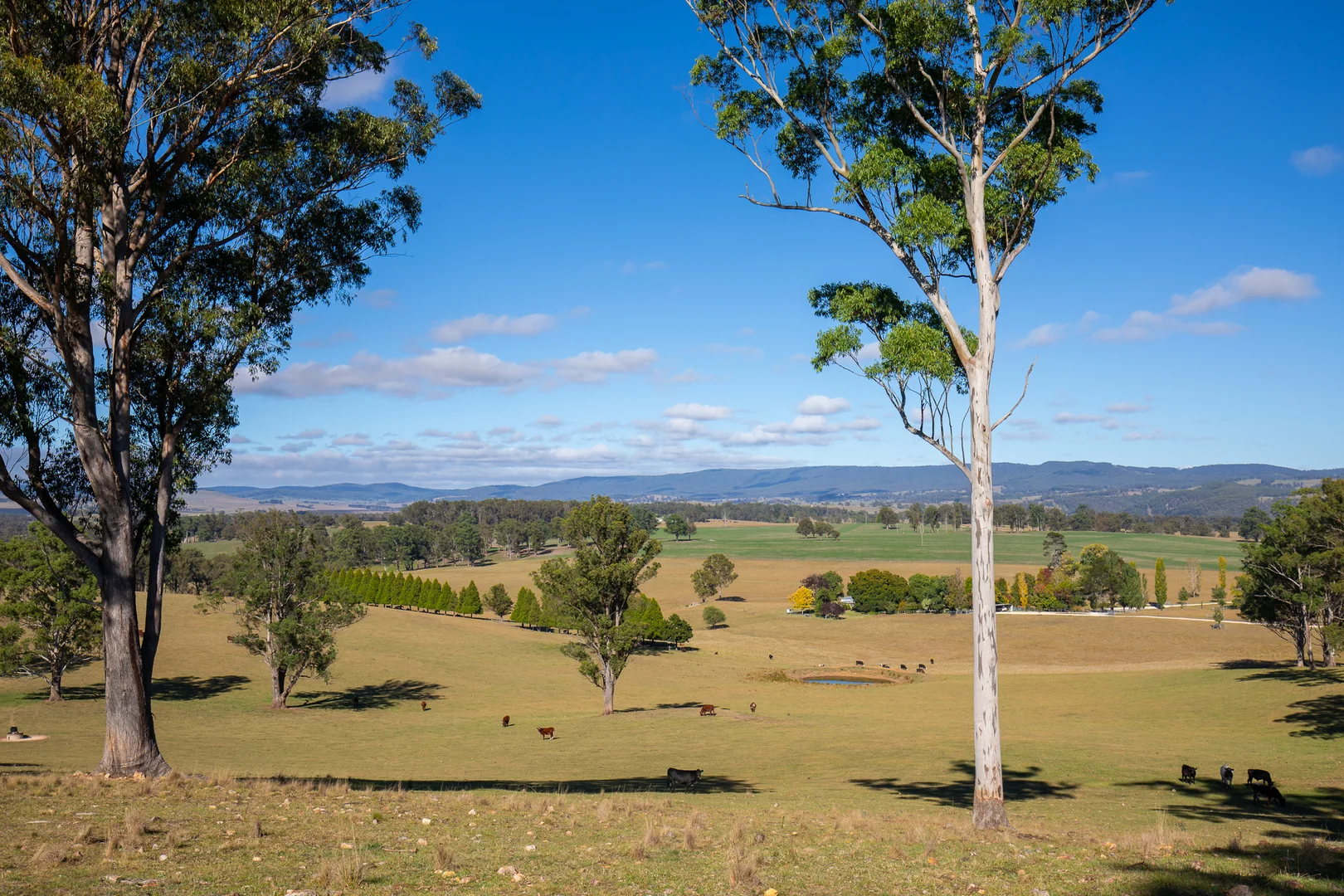 Additional image 37 of 700 Oaklands Road Yarrowitch Valley Via, Walcha NSW 2354