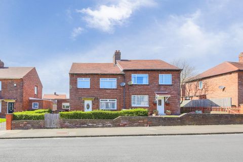 Craster Avenue, Palmersville NE12