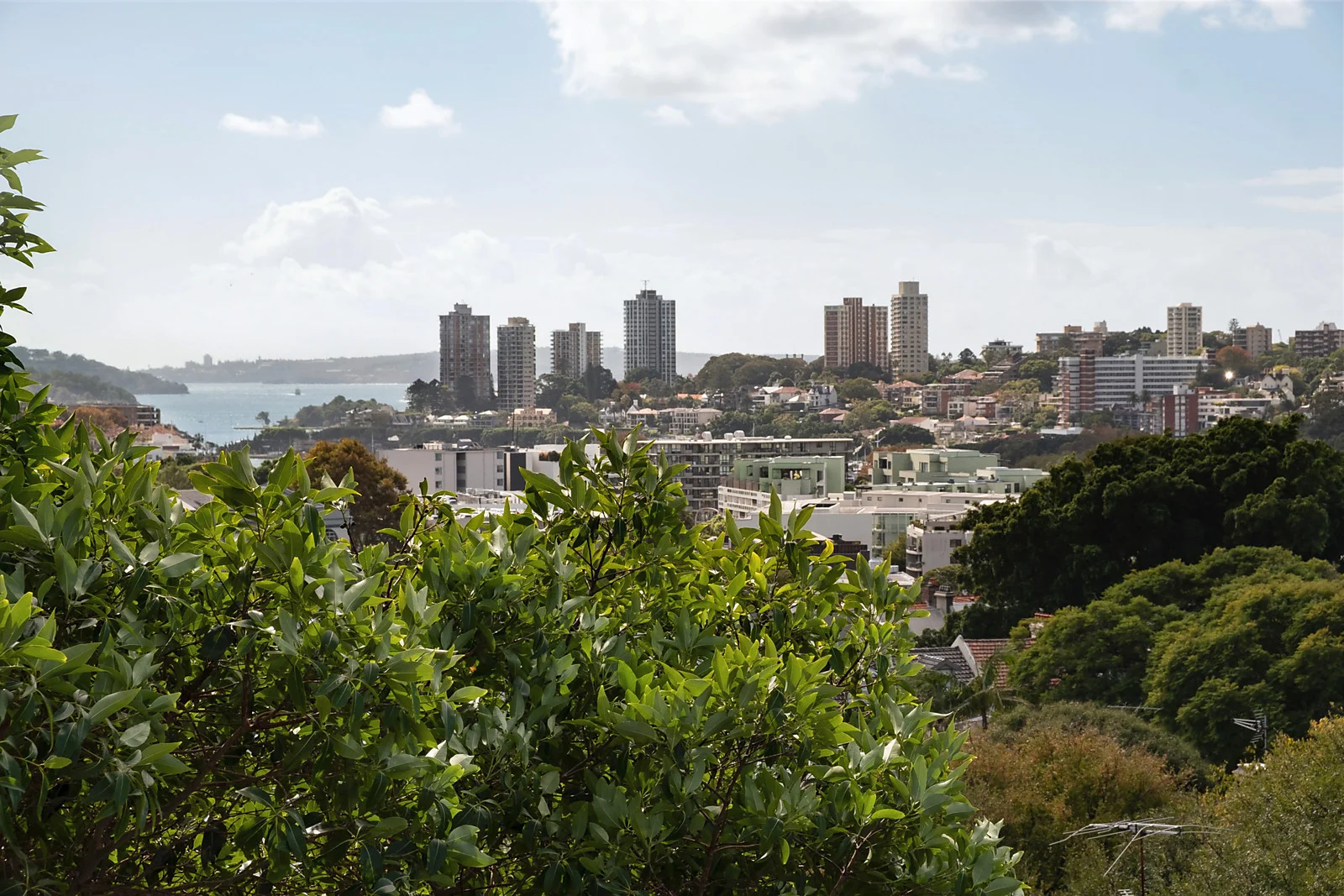 74/13 Campbell Avenue, Paddington NSW 2021