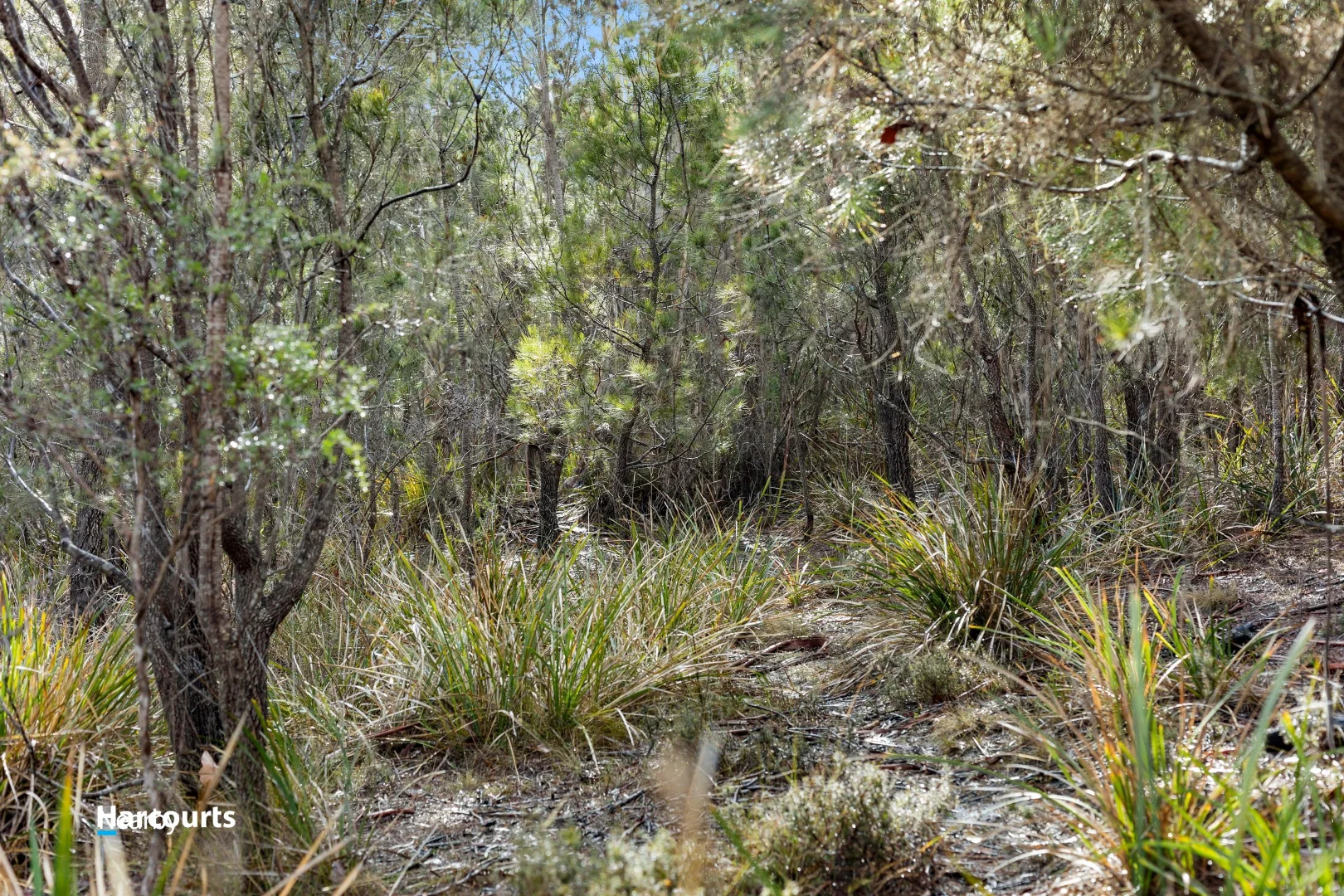 Additional image 4 of Lot 2 Scarrs Road, Garden Island Creek TAS 7112