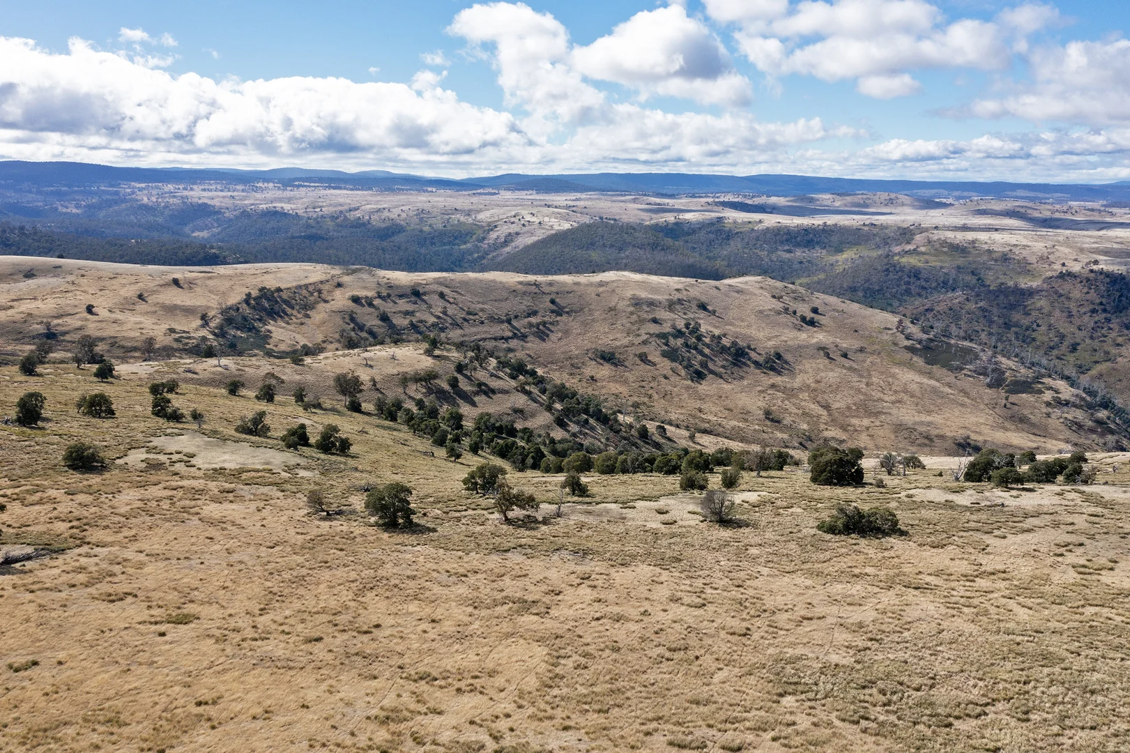 Additional image 16 of . McGuires Marsh Road, Osterley TAS 7140