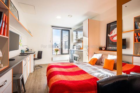 Matilda Street, Sheffield S1, Studio to rent