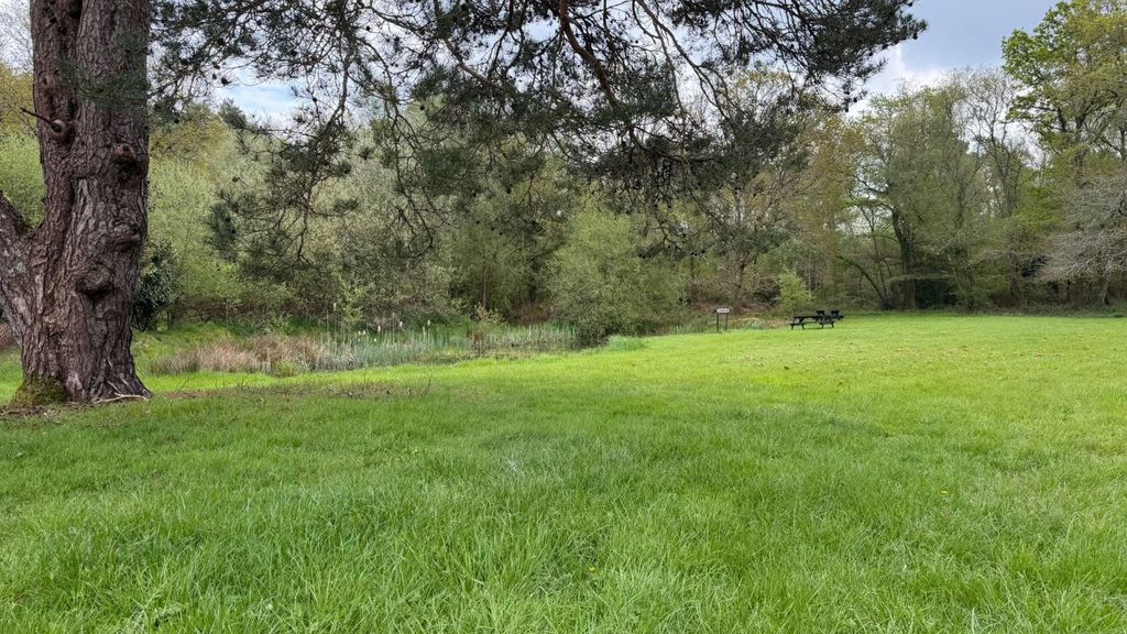 Additional image 6 of Land for saleLions Hill Way, Ashley Heath, Ringwood BH24