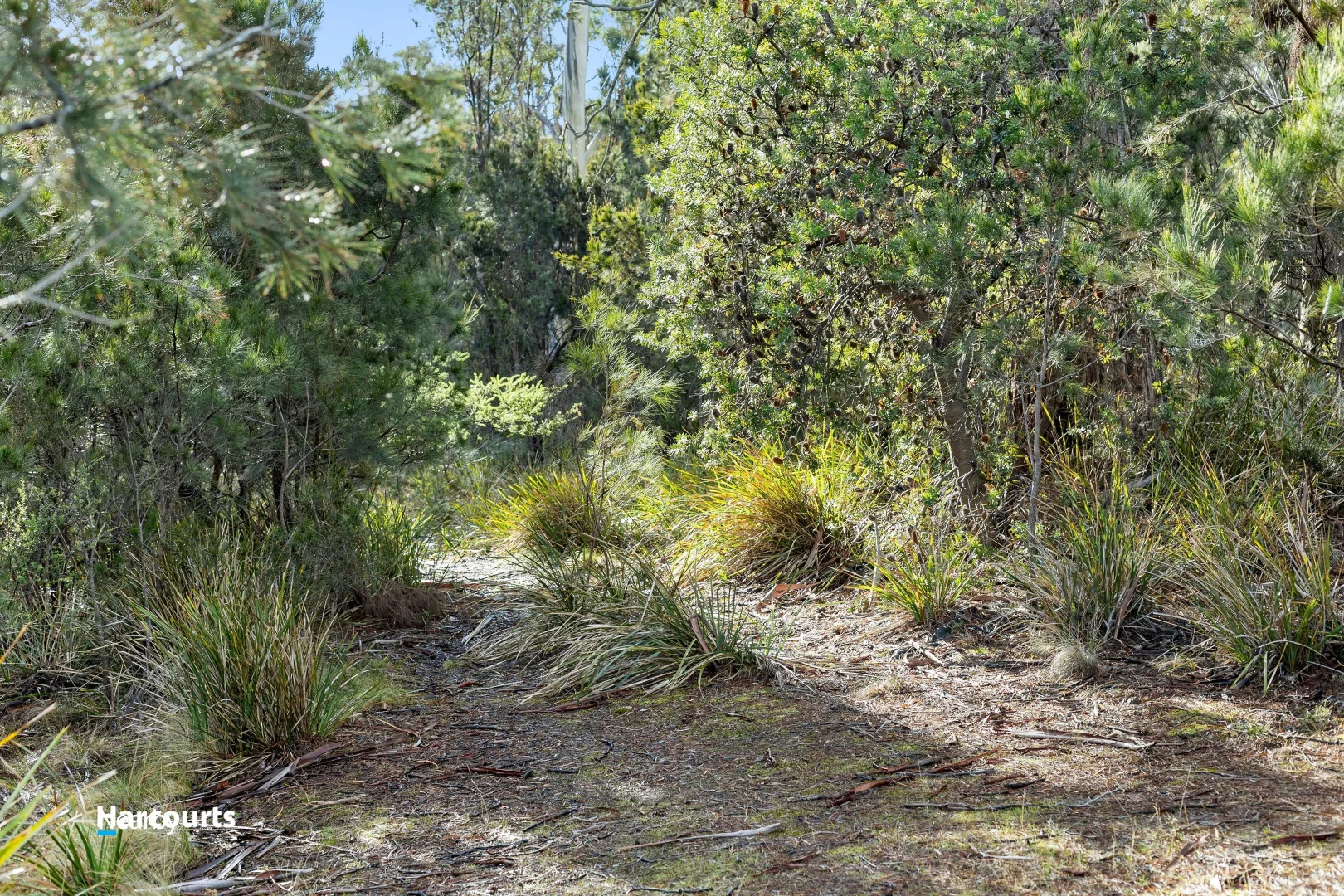 Additional image 16 of Lot 1 Scarrs Road, Garden Island Creek TAS 7112