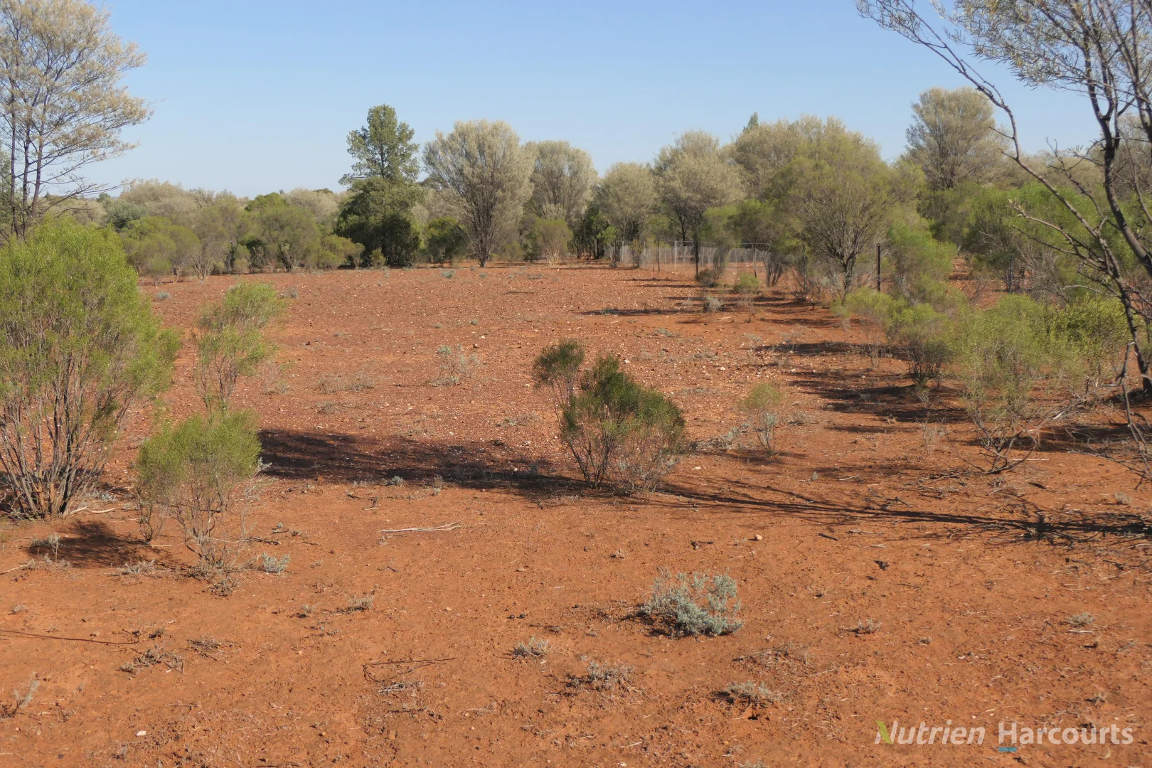 27 Singleton Drive, Cobar NSW 2835 photo 4