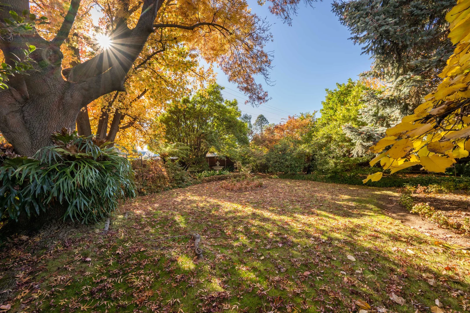 Additional image 24 of 80 Knight Street, Shepparton VIC 3630
