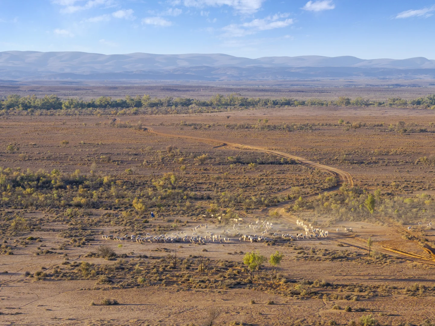 Additional image 12 of Mt Freeling Station Talc Mine Road, Lyndhurst SA 5731