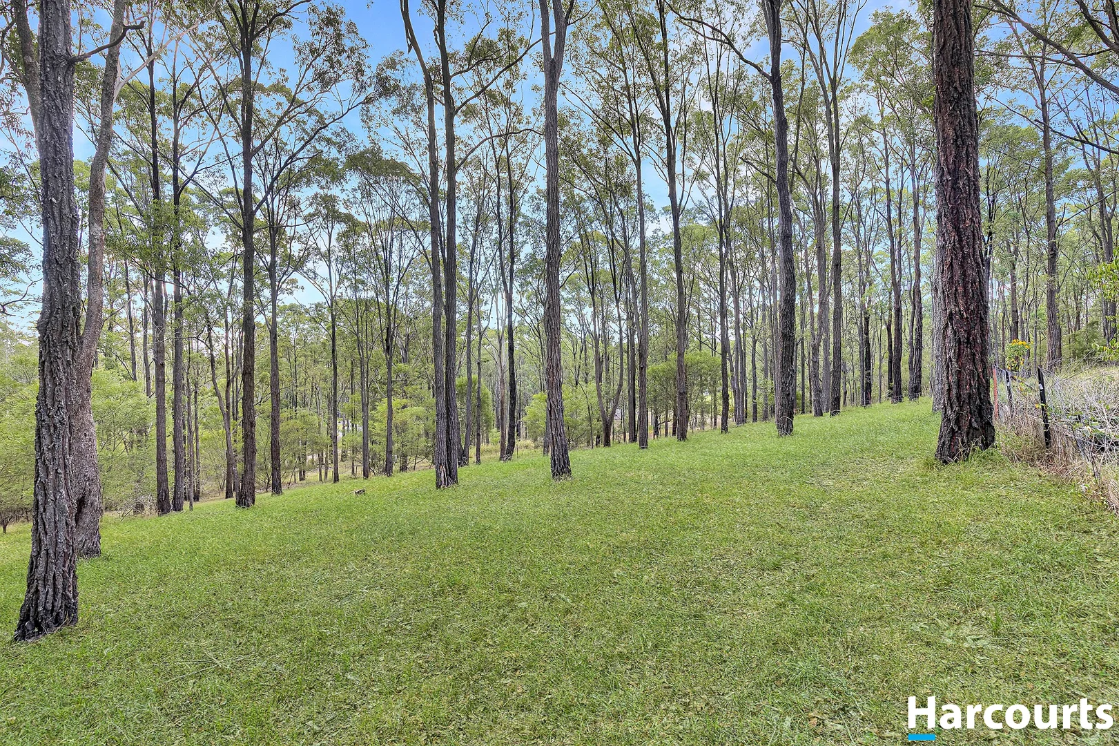 Additional image 22 of 46 Gaggin Street, Clarence Town NSW 2321