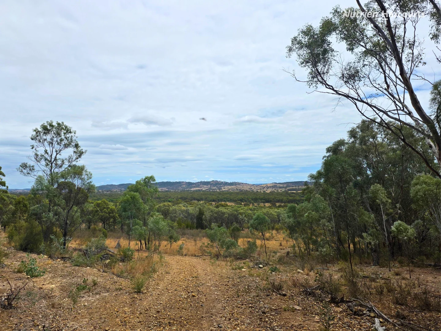 Additional image 11 of 296 Gulf Road, Emmaville NSW 2371
