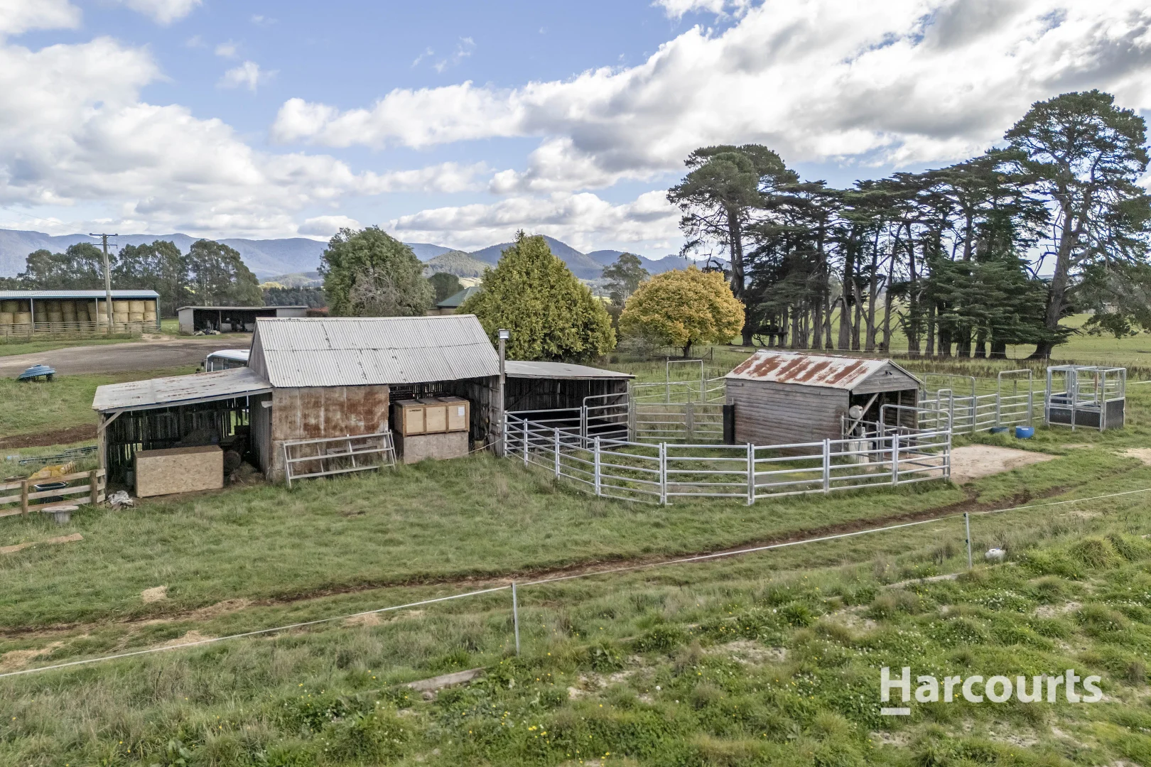Additional image 29 of 214 Mathinna Plains Road, Ringarooma TAS 7263
